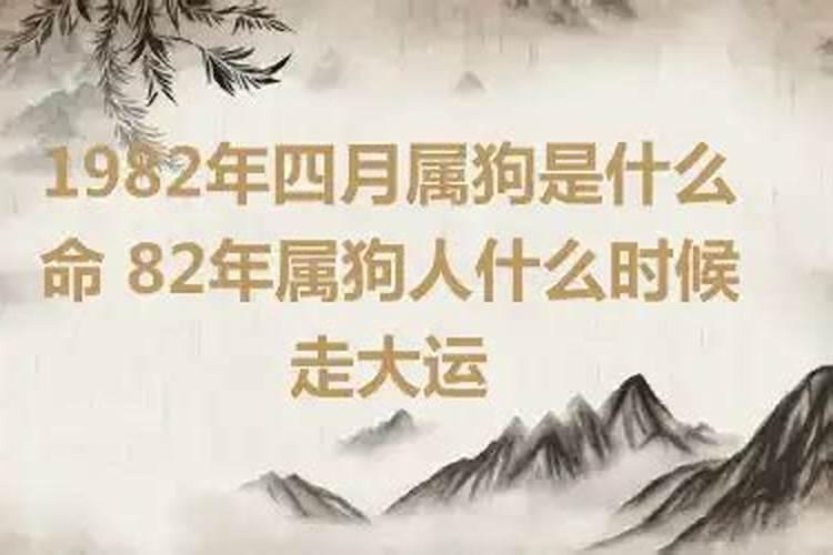 82年属狗人什么时候行大运