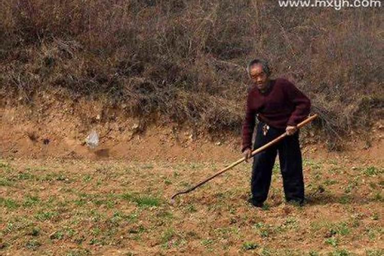 梦见别人挖地是什么预兆