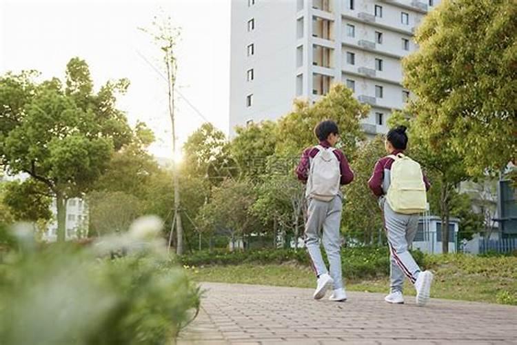 梦见一群学生放学回家