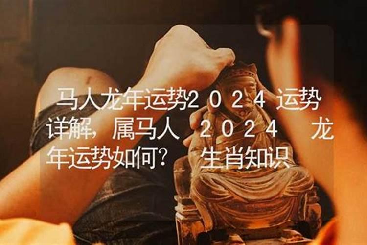 属马人龙年运势2024年运程