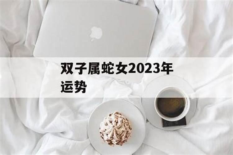 双子蛇女2023年运势