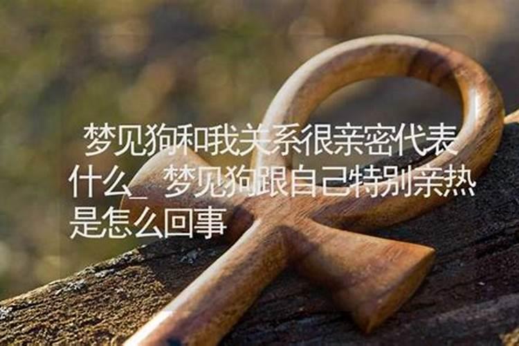 梦见马和我很亲密是什么意思