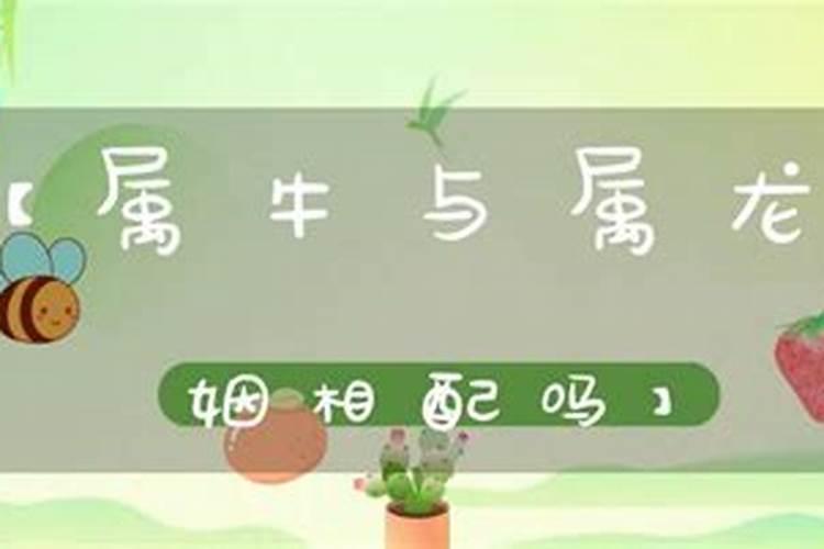 算生辰八字怎么算