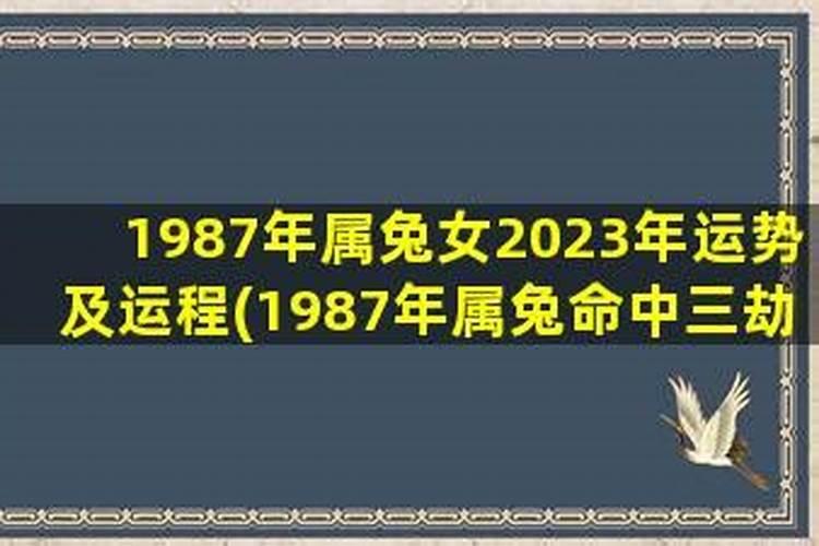 八字排盘怎样十神看吉凶