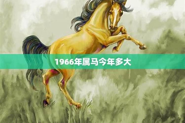 1966年出生属马人的运程怎么样呀