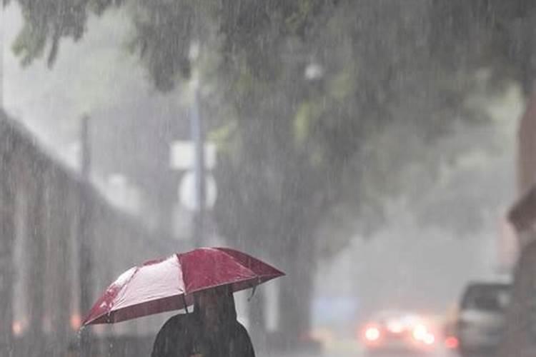 梦见雨中行走并没有淋湿