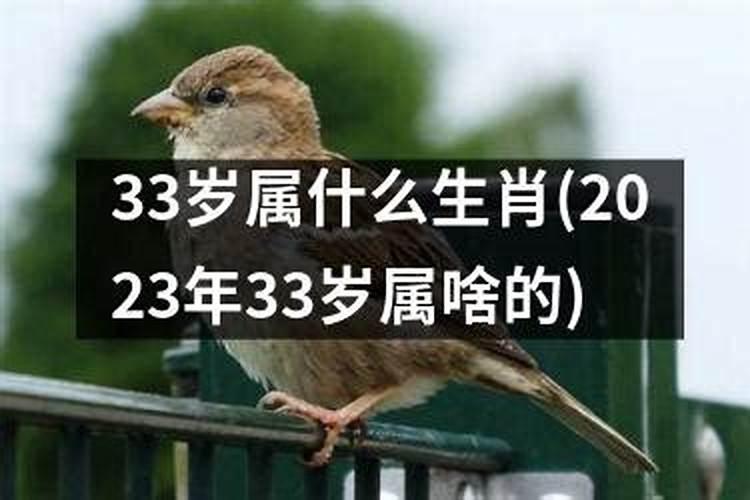 33岁属相属什么