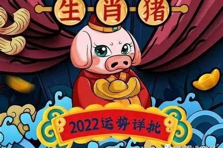 2022年运势生肖猪运势