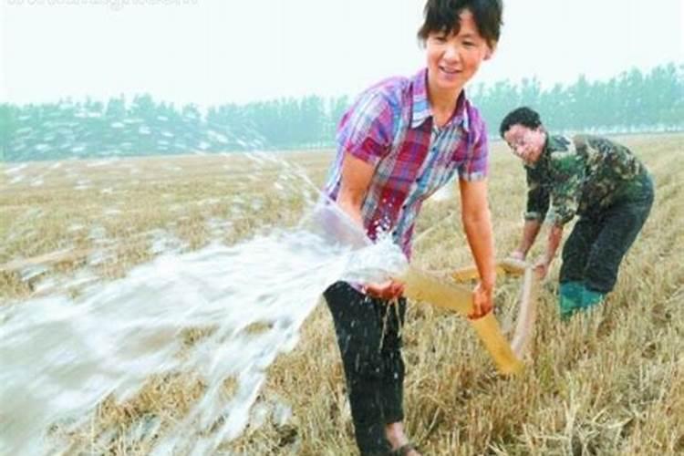 女人梦见浇地满满的水