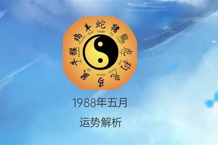 1988年正月初二出生的人命运