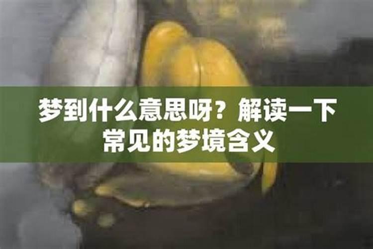 孕妇梦见玉如意什么意思呀