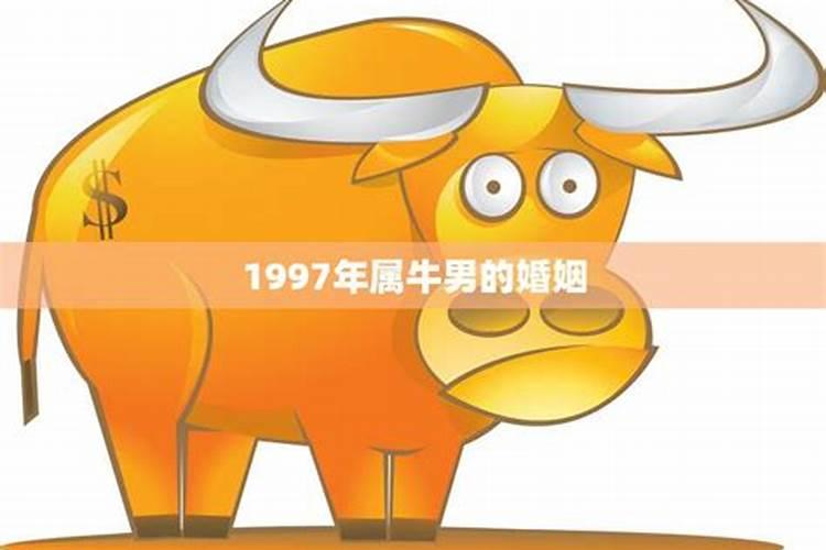 1997年属牛男的婚姻和命运是什么