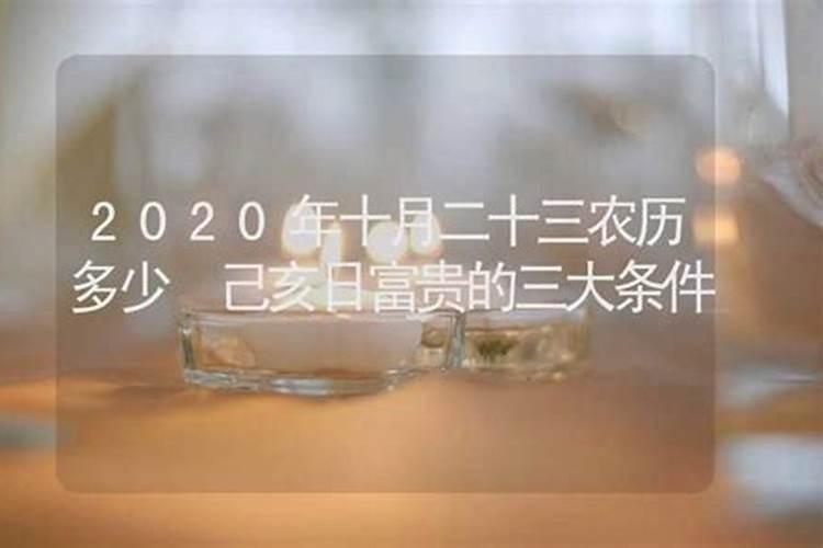 2020年农历十月二十三出生的属鼠怎么样