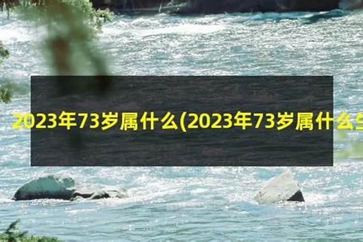 73岁属什么2021