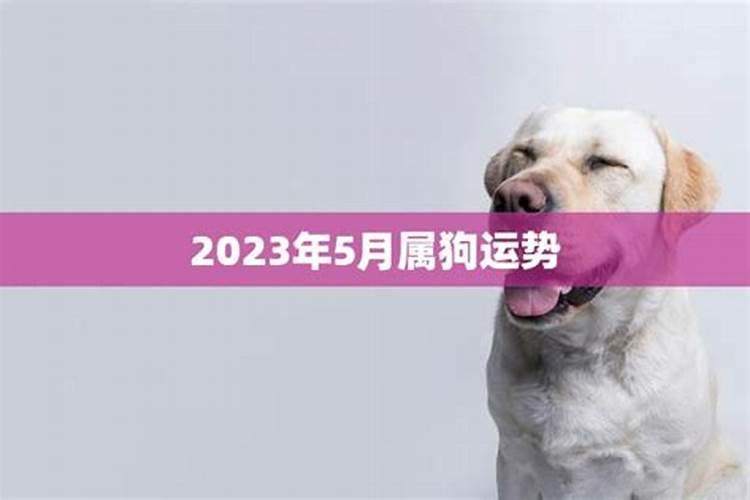 2021年5月属狗的运势