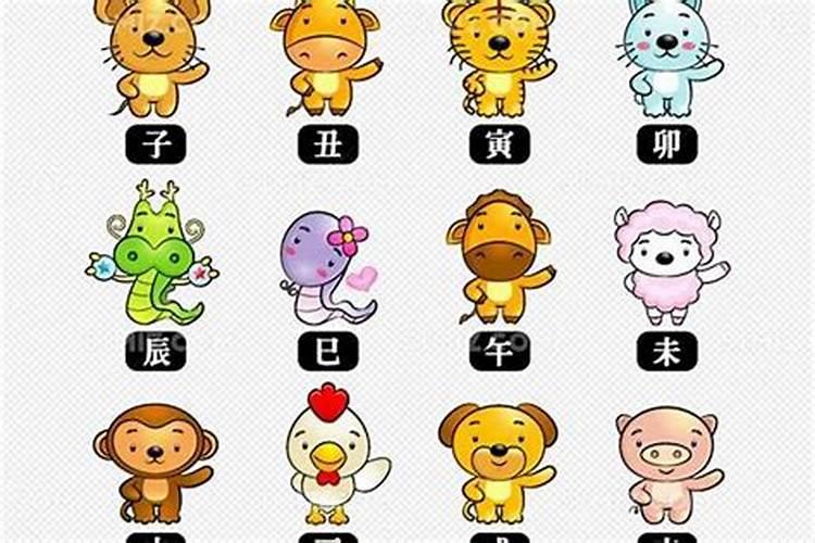 犯太岁的一年可以怀孕生孩子吗