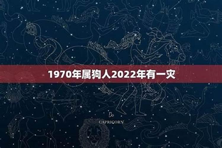 1970年属狗人2022年运势男性