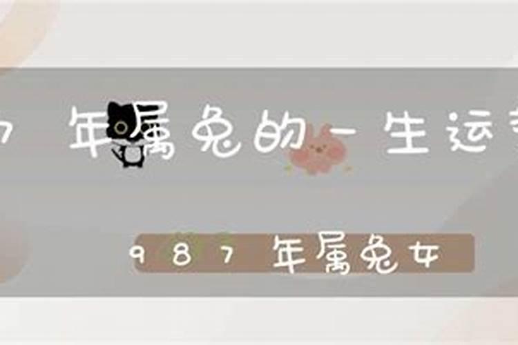 清明节去哪玩合适山东