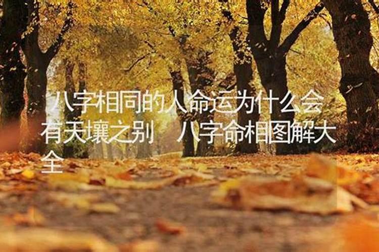 全中国八字相同的人有多少人口