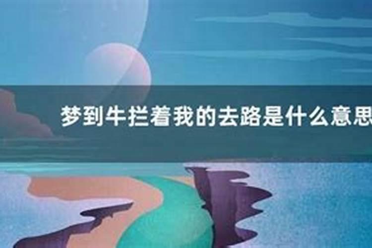 梦见女人拦我不让我出去