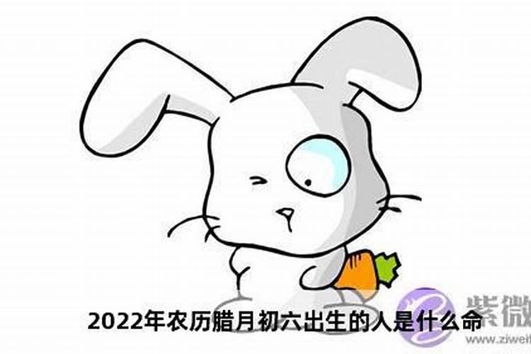 农历2023年腊月初六