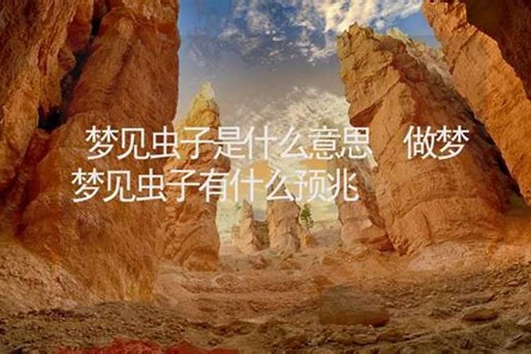 梦见家里全是虫子和垃圾什么意思