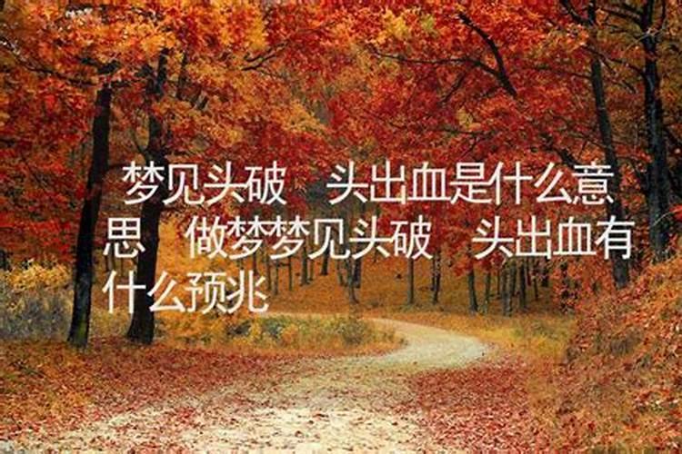 梦见路上有血是什么意思