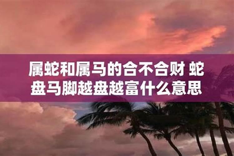 蛇马夫妻合不合