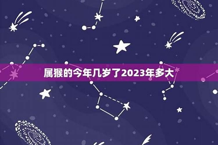 2023属猴的多大年纪