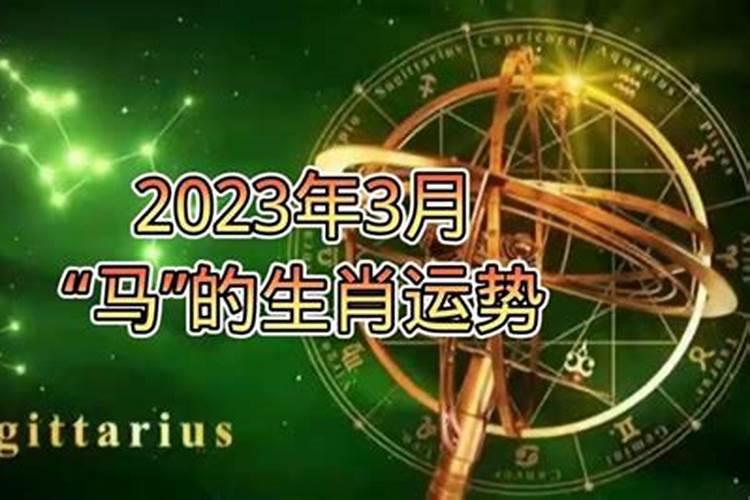 属相马运势2021