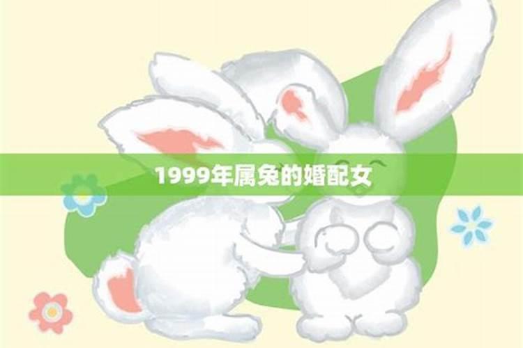 1999年属兔女今年运程