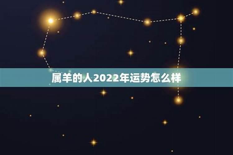 2022年属羊女人的命运