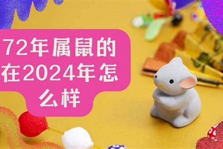 属鼠的爱情运势2024