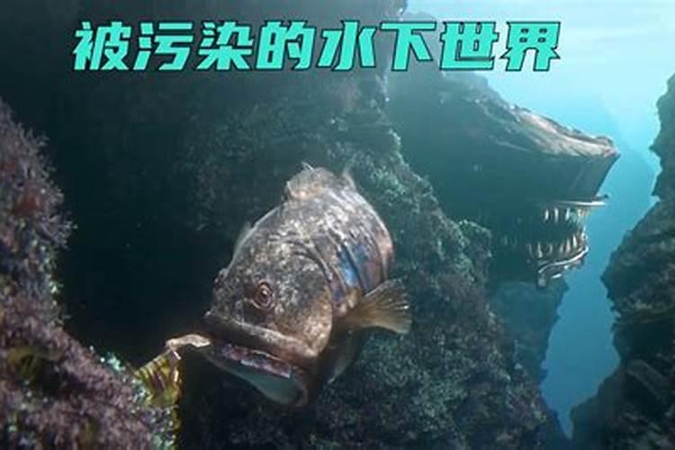 梦到被变异海洋生物追赶