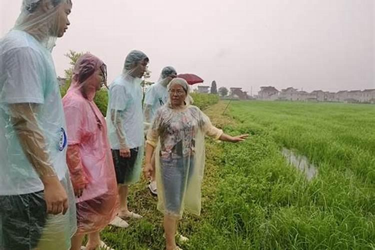 梦见自己回到乡下老家下大雨了