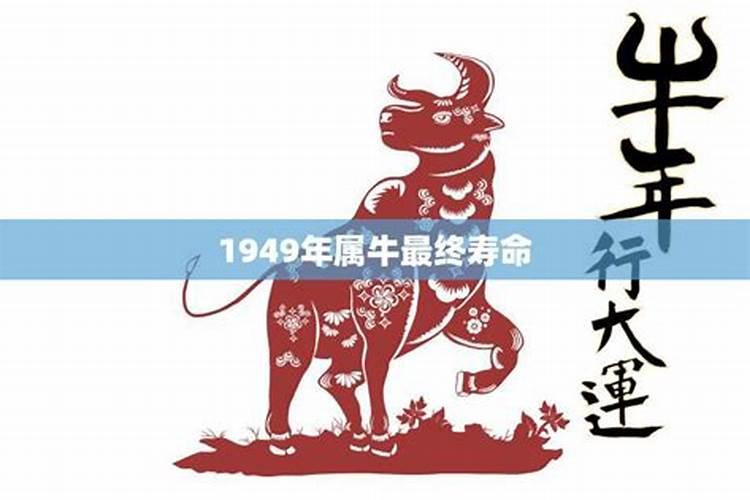 1949年属牛男的终身寿命