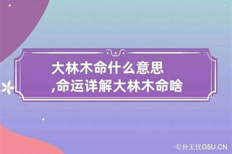 大林木命的人命运如何