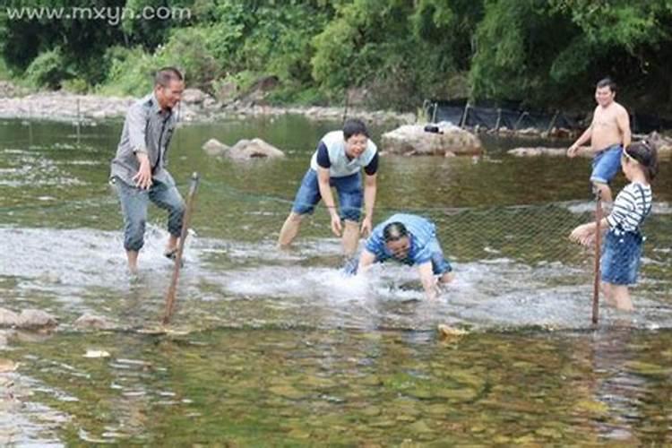 梦到在水里摸鱼和水中生物鱼