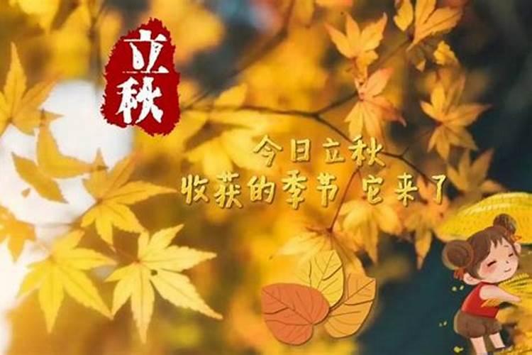 今年是几点钟立秋诩