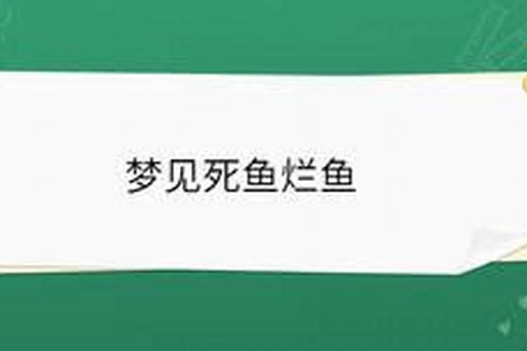 梦见死鱼真的会有不好的事发生吗