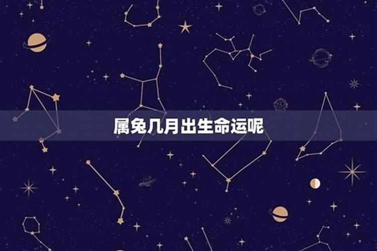 属兔的10月出生的运势