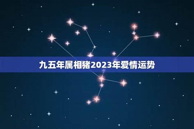 属猪爱情运势2020