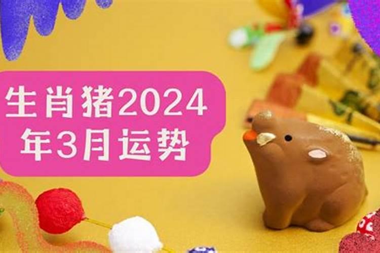 属猪爱情运势2020