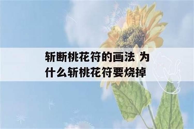 斩桃花是斩断所有异性么