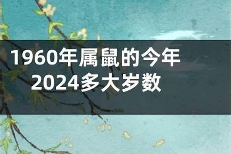 1960年属鼠今年运程