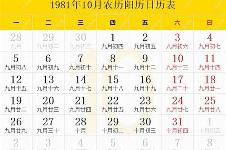 1981年农历9月初十生运势