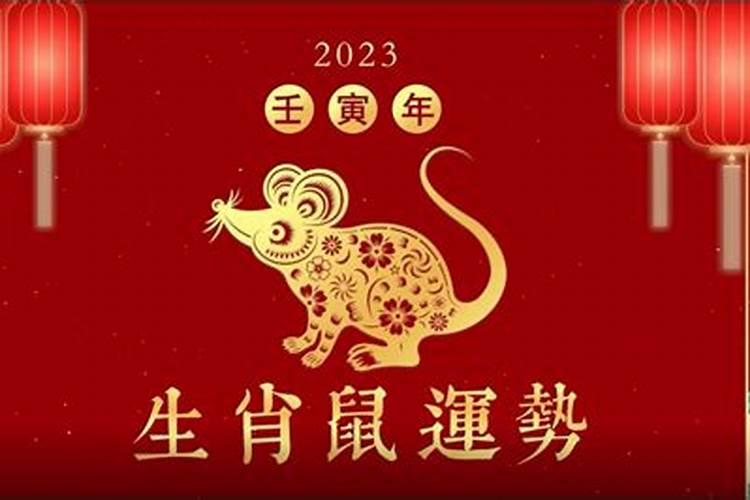 属鼠运程2021