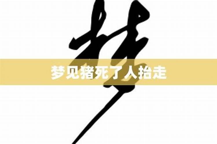 梦见被人抬着