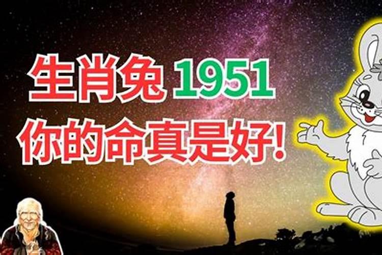 1951年的兔命运怎样