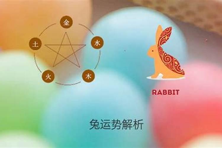 属性兔子今年的运气